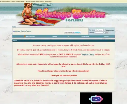 Review screenshot Vintage-erotica-forum.com