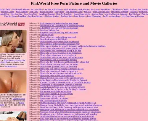 Une capture d'écran de revue de PinkWorld
