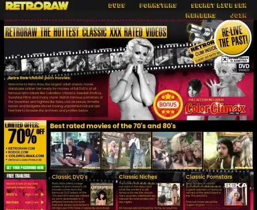 Review screenshot Retroraw.com