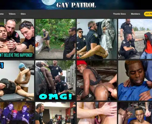 Review screenshot Gaypatrol.com