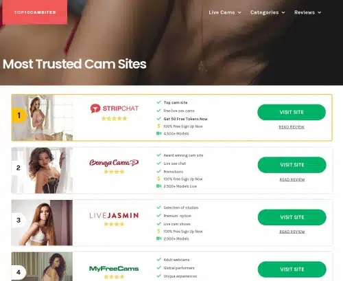 A Review Screenshot of Top10CamSites