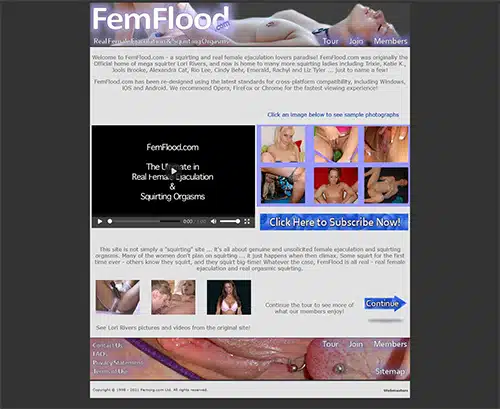 FemFlood کا ایک جائزہ اسکرین شاٹ