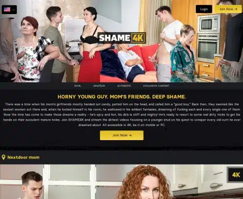 Review screenshot Shame4k.com