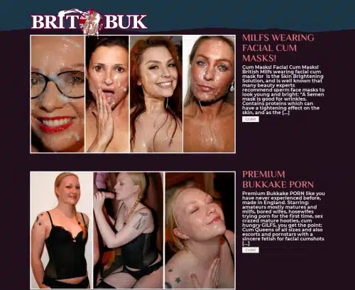 A Review Screenshot of Britbuk