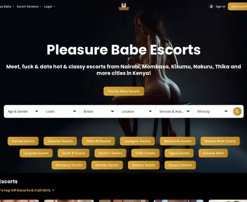 A Review Screenshot of PleasureBabe