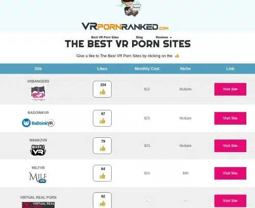 A Review Screenshot of VRPornranked