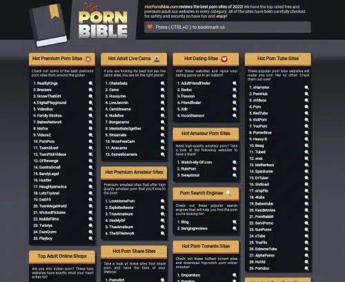 A Review Screenshot of Hotpornbible