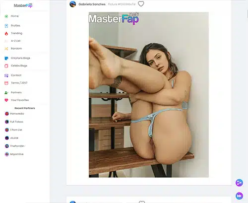 A Review Screenshot of Masterfap