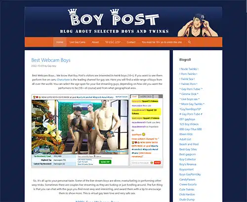 Review screenshot Boypost.com