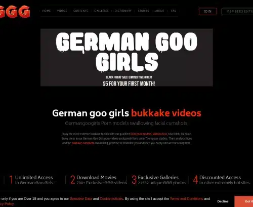A Review Screenshot of GermanGooGirls