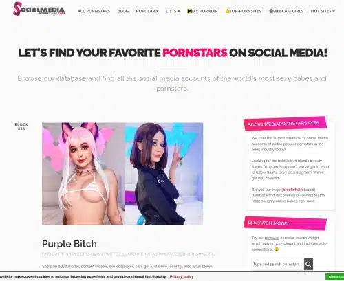 A Review Screenshot of SocialMediaPornstars