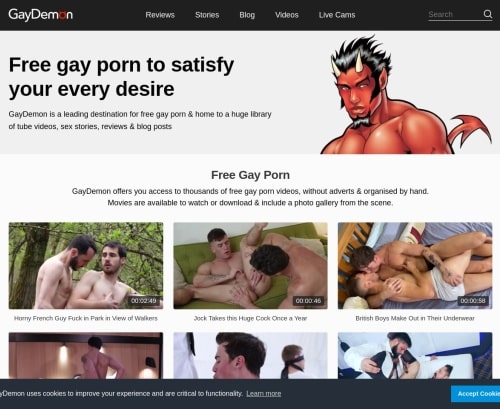 Review screenshot Gaydemon.com