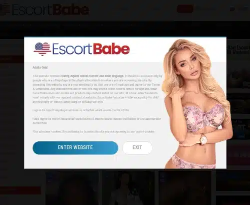 A Review Screenshot of Escortbabe.com