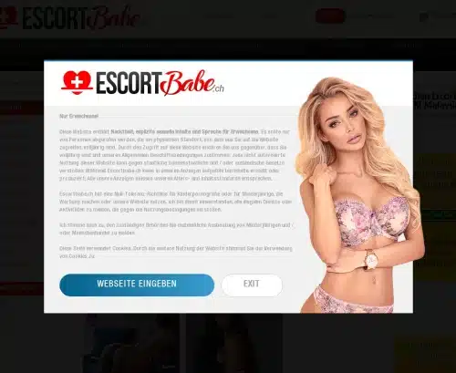 A Review Screenshot of Escortbabe.ch