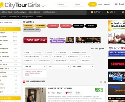 A Review Screenshot of Citytourgirls.com