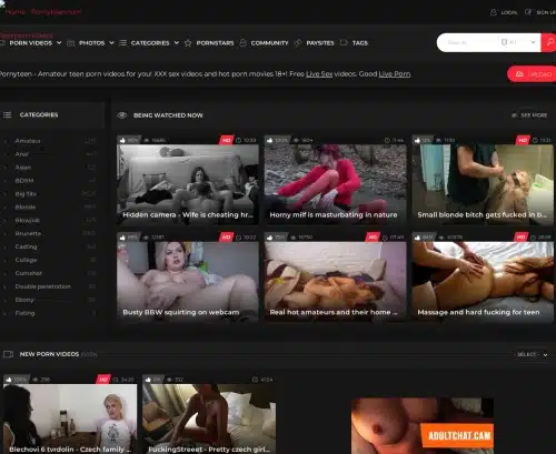 A Review Screenshot of PornyTeen