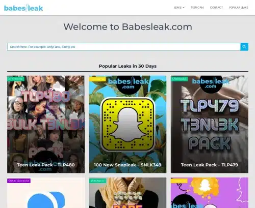 A Review Screenshot of BabesLeak