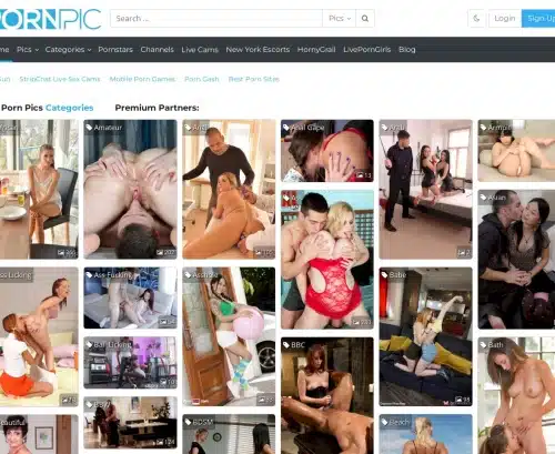 A Review Screenshot of PornPic