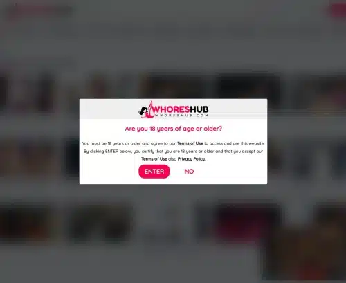 A Review Screenshot of WhoresHub