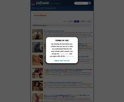 A Review Screenshot of ListCrawler