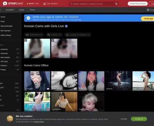 O captură de ecran de revizuire a StripChat coreeană