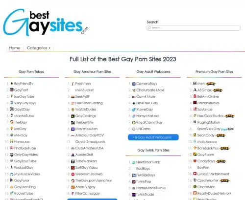 Uma captura de tela de revisão dos melhores sites gays