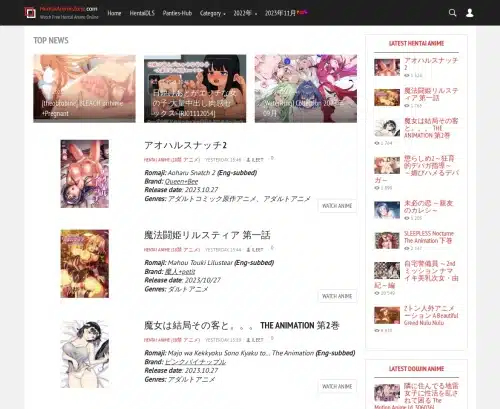 En recensionsskärmbild av Hentaianimezone