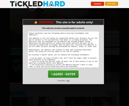 A Review Screenshot of TickledHard