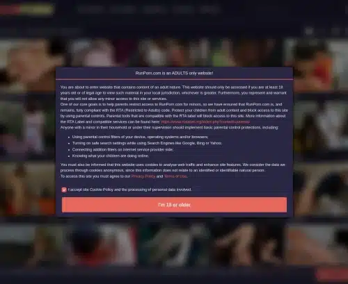 A Review Screenshot of RunPorn