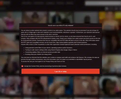 Une capture d'écran d'examen de Xecce.com