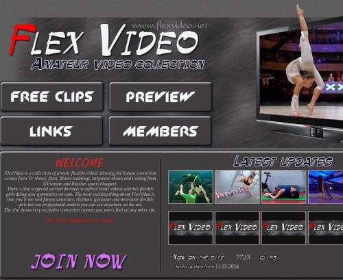 Review screenshot Flexvideo.net