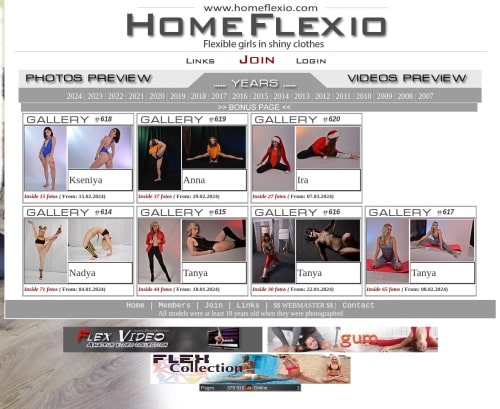 Review screenshot Homeflexio.com