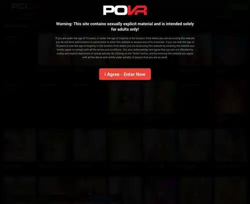 A Review Screenshot of POVR