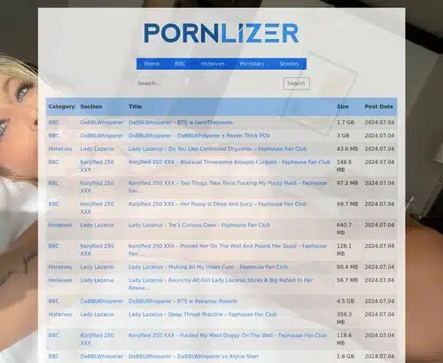 A Review Screenshot of Pornlizer