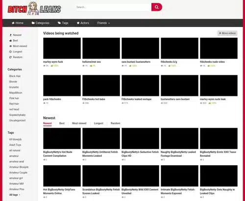 Et anmeldelsesskærmbillede af BitchLeaks