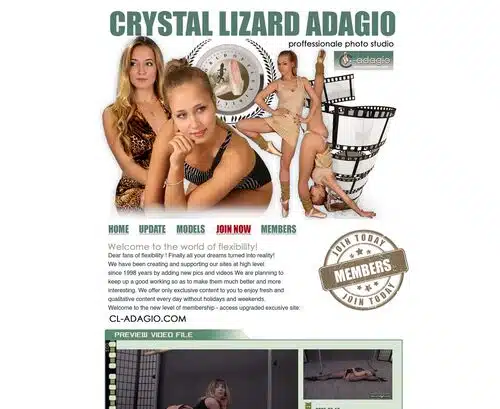 A Review Screenshot of CL-Adagio