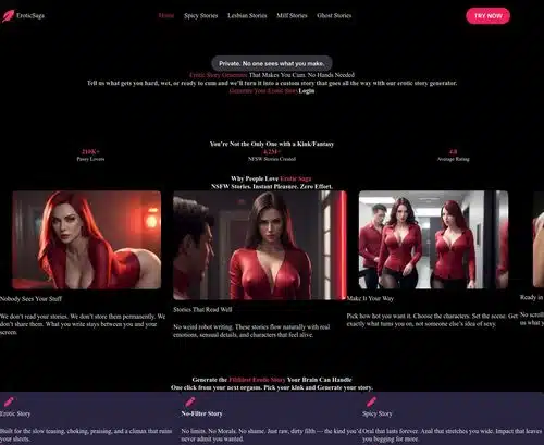 A Review Screenshot of EroticSaga