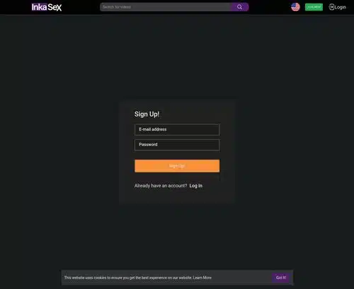 A Review Screenshot of InkaSex