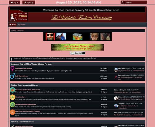 Review screenshot Findoms.net