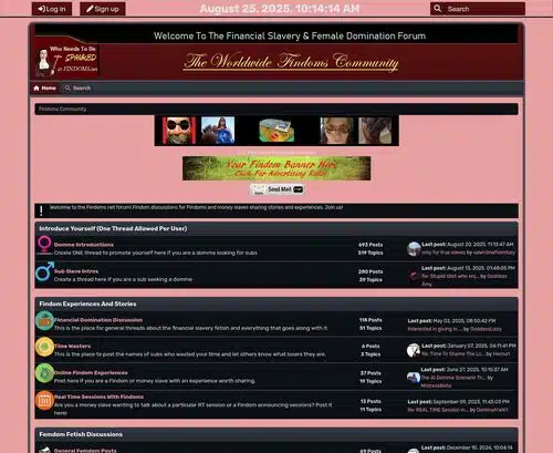 A Review Screenshot of Findoms.net