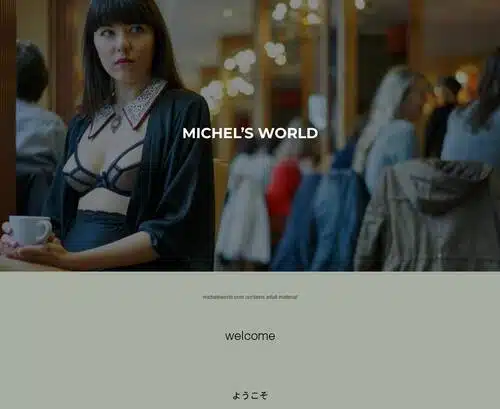 A Review Screenshot of Michels World