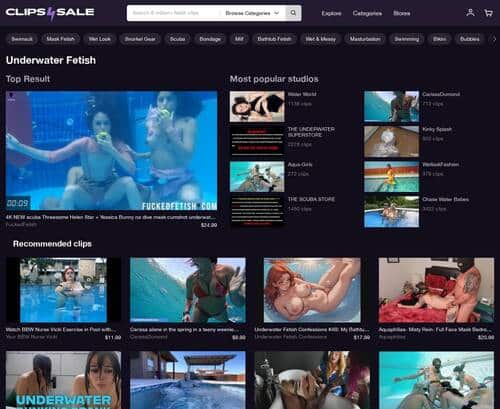 Review screenshot Clips4Sale.com