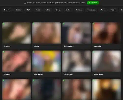 A Review Screenshot of Free Cam Girl