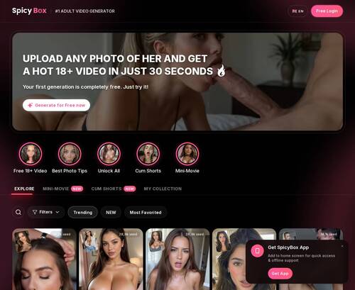 A Review Screenshot of SpicyBox
